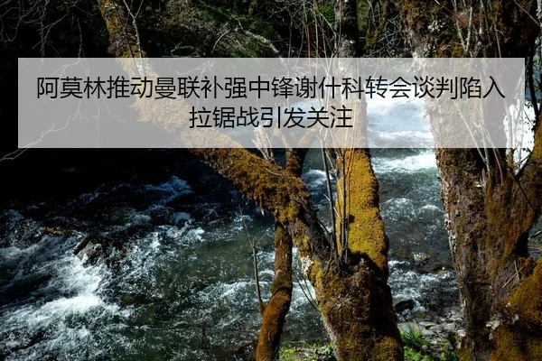 阿莫林推动曼联补强中锋谢什科转会谈判陷入拉锯战引发关注