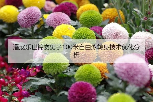 潘展乐世锦赛男子100米自由泳转身技术优化分析